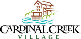 ccv logo